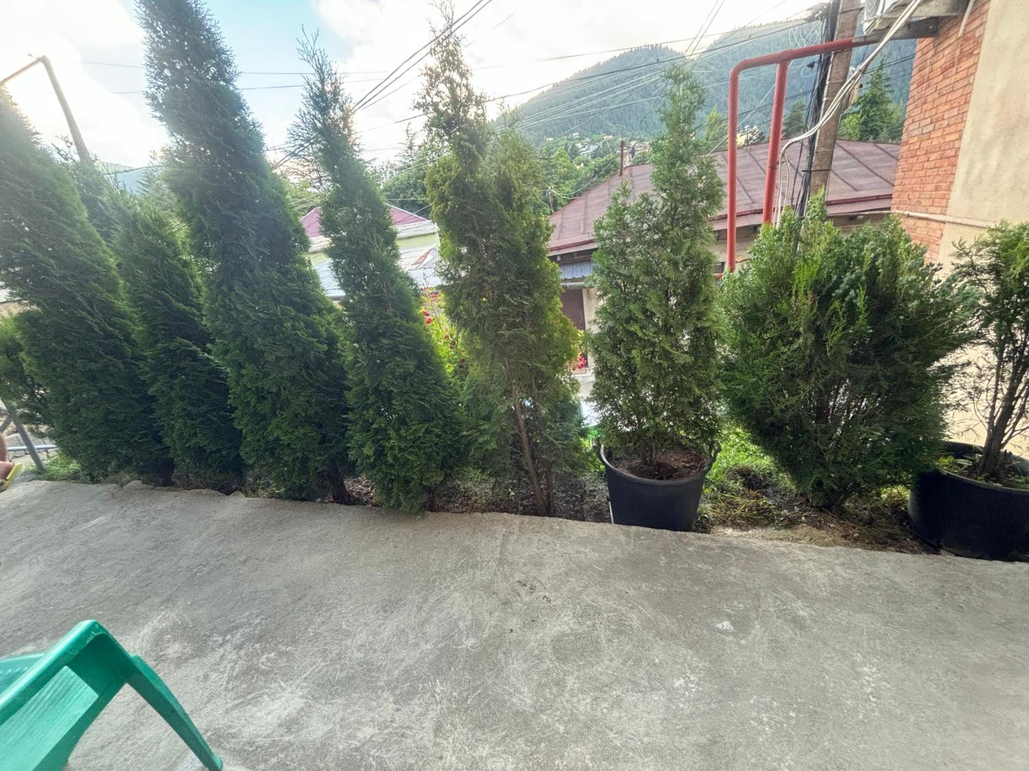 Guesthouse Saba Borjomi Esterno foto